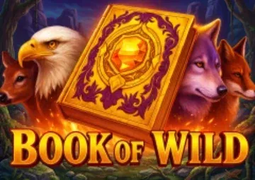 Book Of Wild gokkast · Irwin Casino